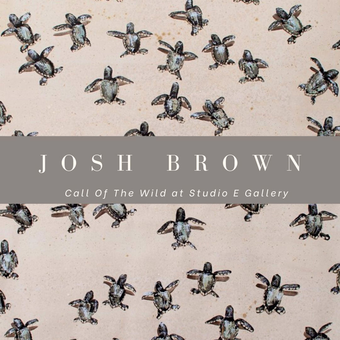 JOSH BROWN