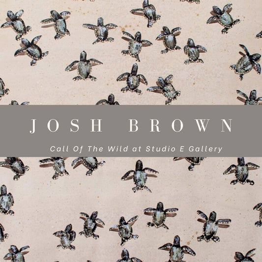 JOSH BROWN