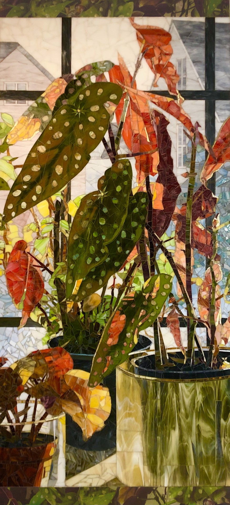 Spotted green and red begonias in pots sit on a sunlit windowsill with a building visible in the background.