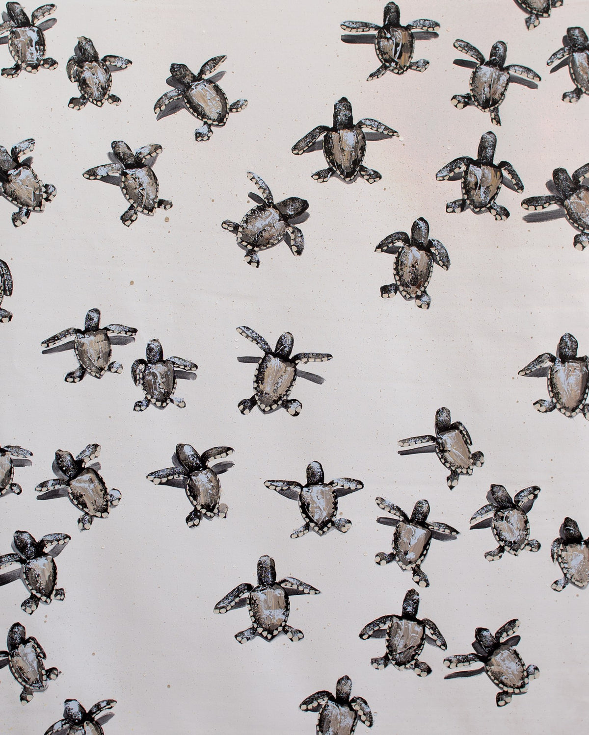 Tan Sea Turtles by Josh Brown