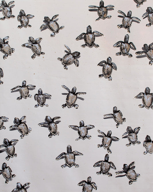 Tan Sea Turtles by Josh Brown