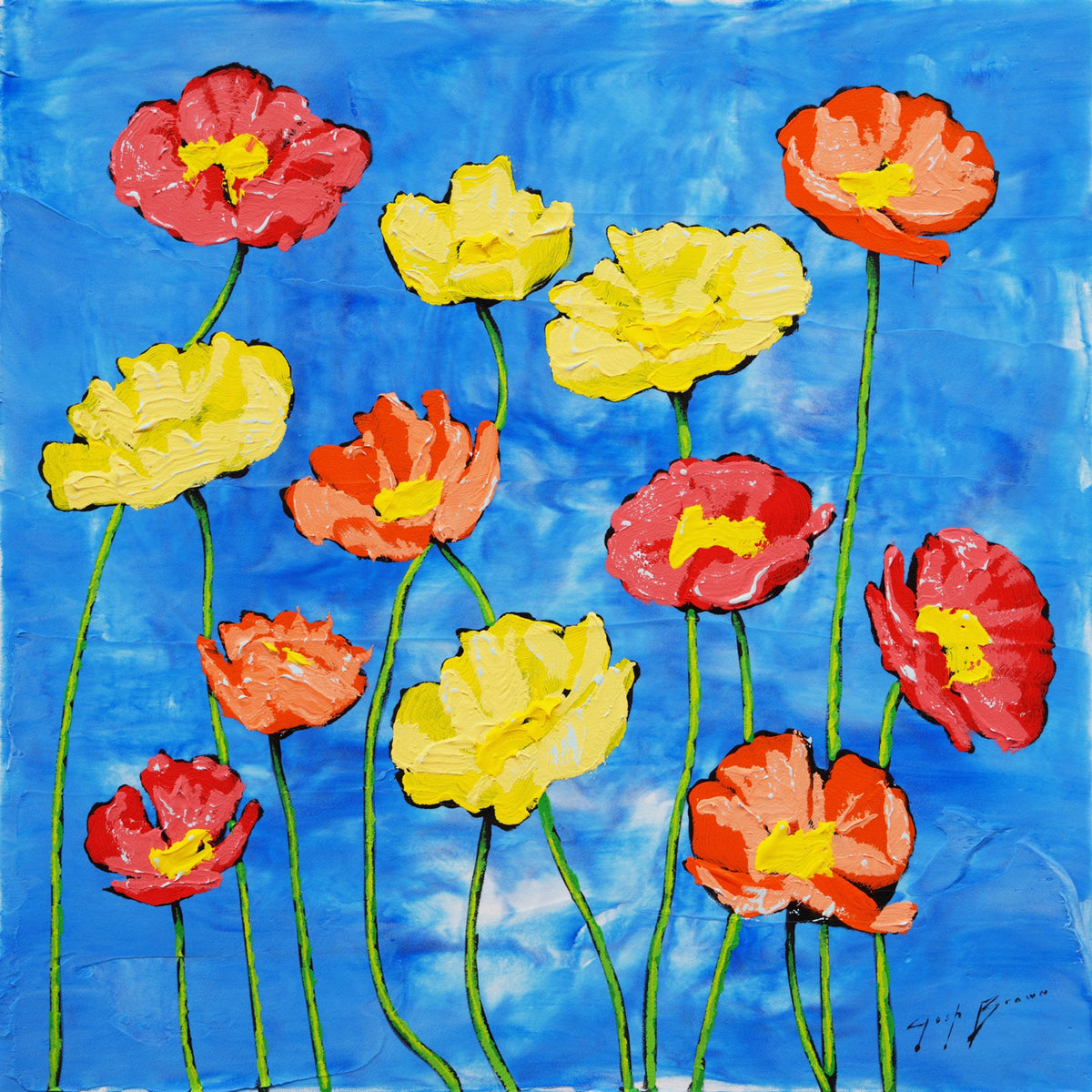 Icelandic Poppies on Deep Blue Sky by Josh Brown