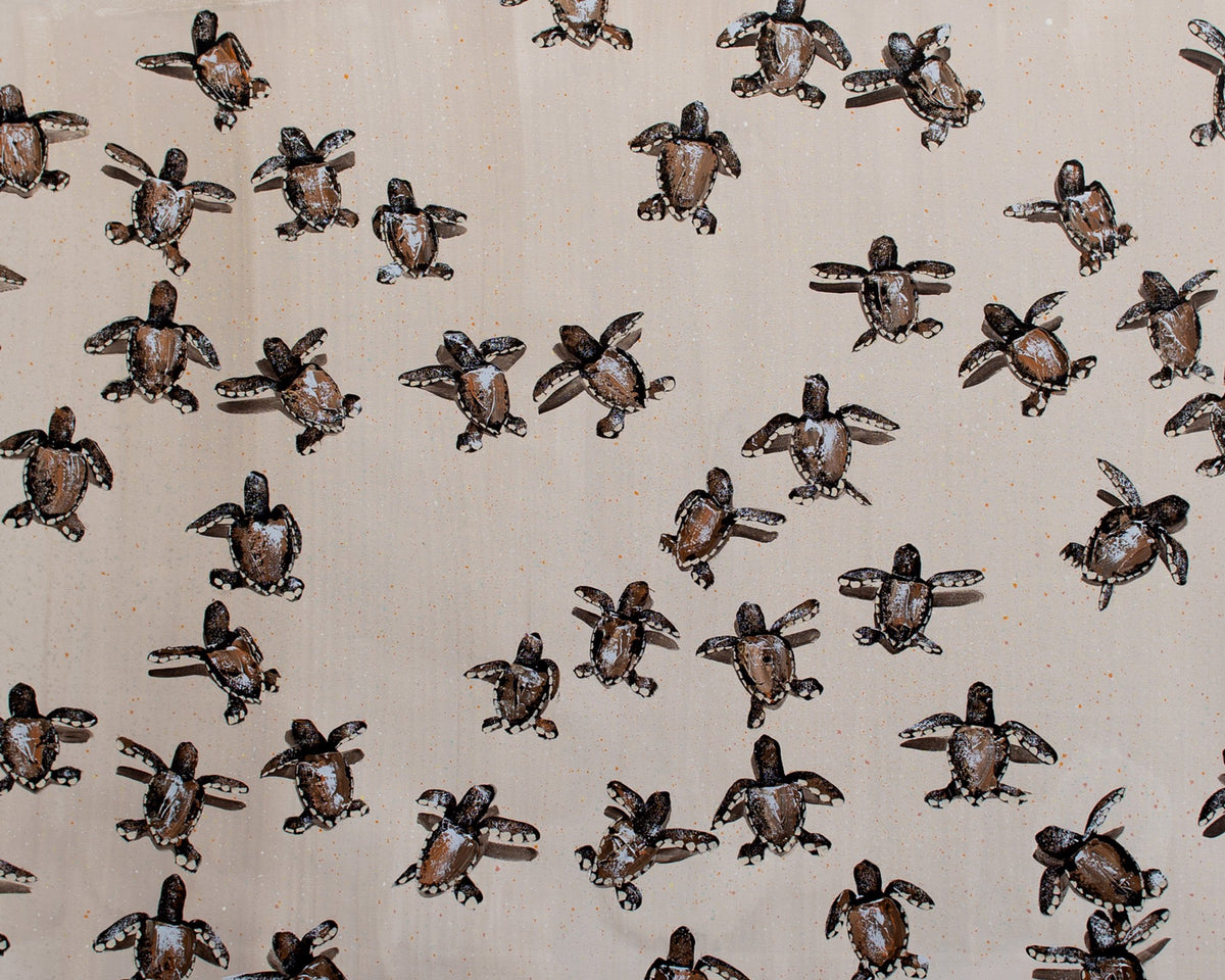 Orange Sea Turtles by Josh Brown