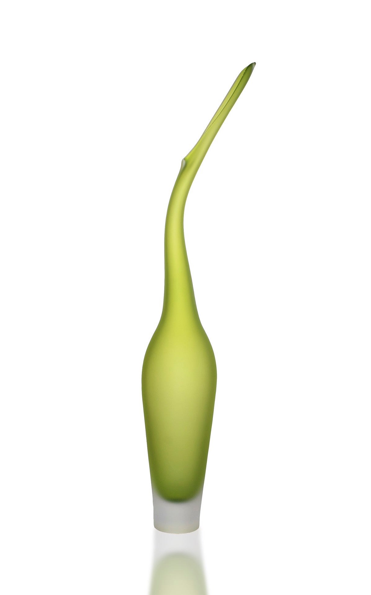 Olive Lima by The Goodman Studio