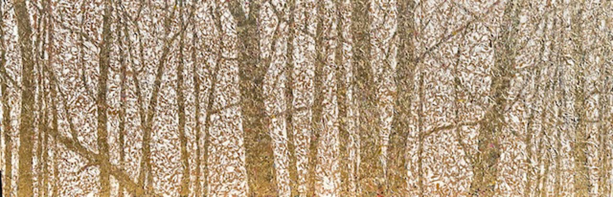 Dense forest of thin, leafless trees during autumn, covered with snow.